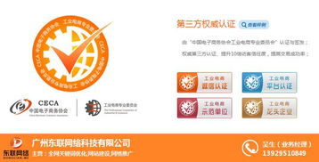 seo企业网站推广 广州东联网络科技 潮州网站推广